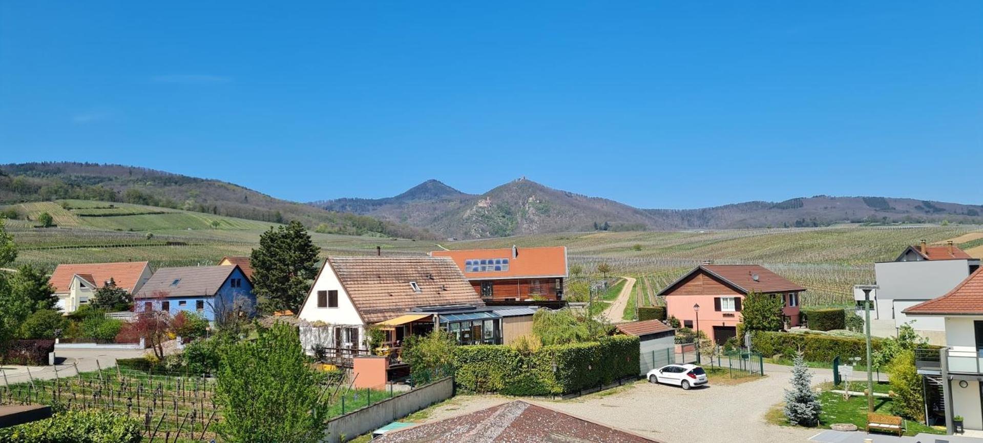 Maison D'Hotes Sainte Hune Appartements Hunawihr Ruang foto